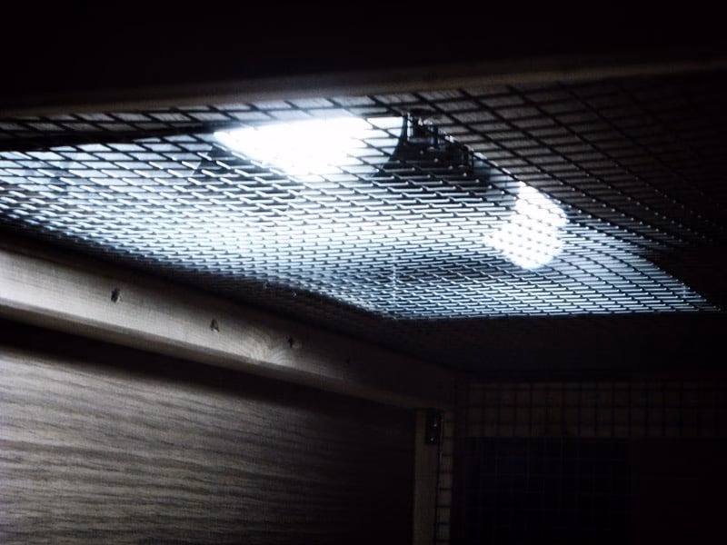 Vogellampe für Wellensittiche – UV-Licht für Gesundheit und Wohlbefinden 4 Zwei Vogellampen-Röhren (Bird Lamp) sind in einer Halterung auf dem Gitterdach eines Wellensittichkäfigs montiert