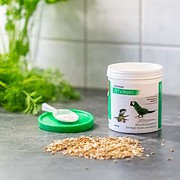 Korvimin ZVT + Reptil Wellensittich