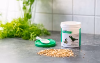 Korvimin ZVT + Reptil Wellensittich