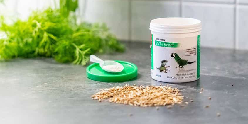 Korvimin ZVT + Reptil Wellensittich