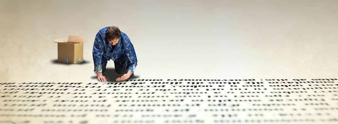 Namensideen für Wellensittiche 1 Wellensittich Namen