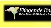 fliegende-engel