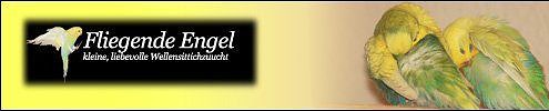 fliegende-engel