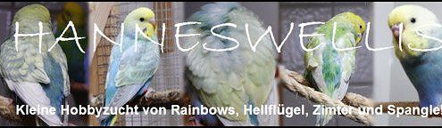 Wellensittich-Zucht-Hanneswellis