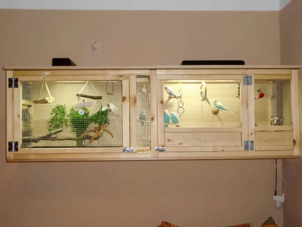 Wellensittich Voliere aus Aluminium – Erfahrungsbericht, Vorteile & Tipps 2 Selbstgebaute Holzvoliere für Wellensittiche mit mehreren Vögeln und Naturästen