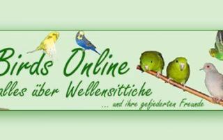 birds-online-wellensittich