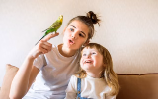 Wellensittich für Kinder als Haustier