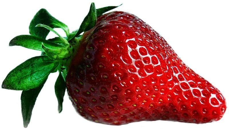 Erdbeere
