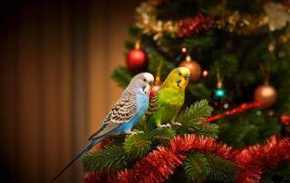 Zu Weihnachten sitzen zwei Wellensittiche am geschmückten Weihnachtsbaum mit Lichterkette.