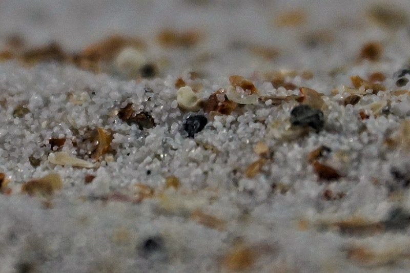 Mineralstoffe sind wichtig für die Gesundheit der Wellensittiche 2 Mineralien für Wellensittiche in Nahaufnahme – verschiedene feinkörnige Mineralmischungen auf Sanduntergrund