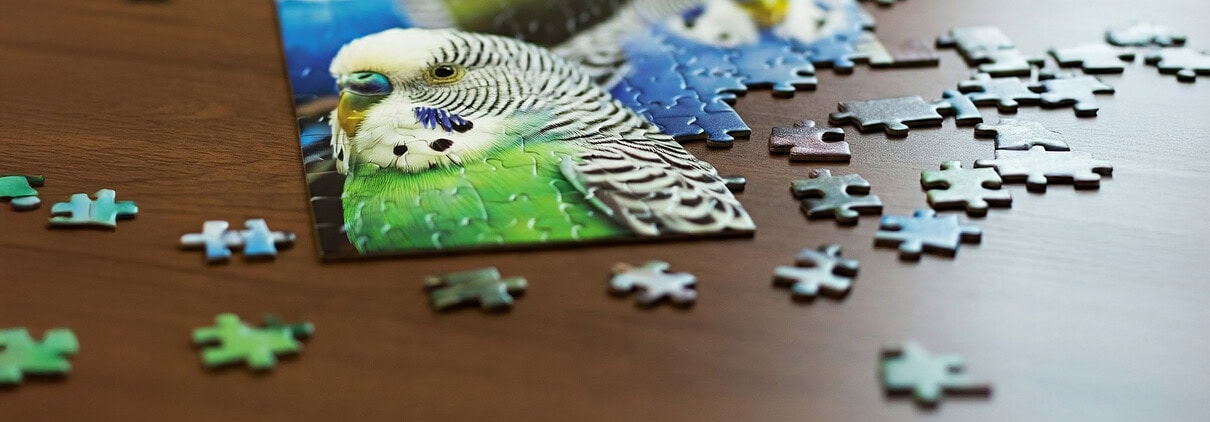 Auf dem Tisch liegt ein unfertiges Puzzle mit Wellensittichen als Motiv.