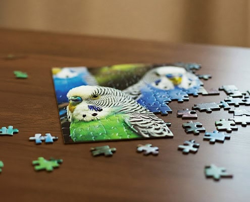 Auf dem Tisch liegt ein unfertiges Puzzle mit Wellensittichen als Motiv.