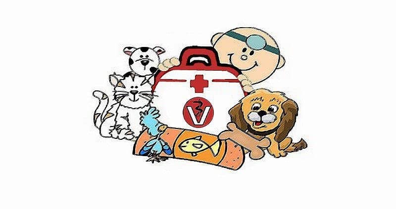 Tierarztkosten - wie teuer ist der Tierarzt