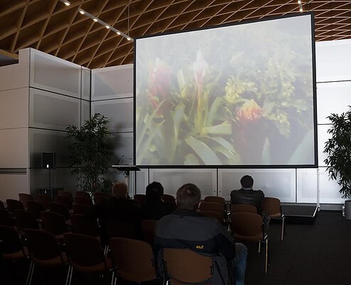 Naturfilmkino der Messe in Rostock