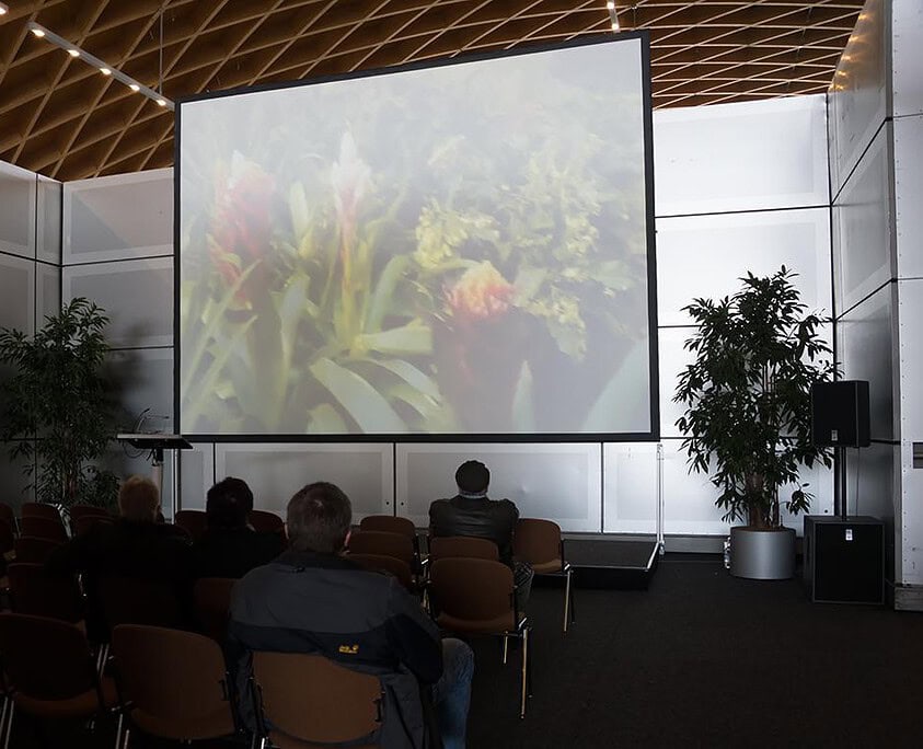 Naturfilmkino der Messe in Rostock
