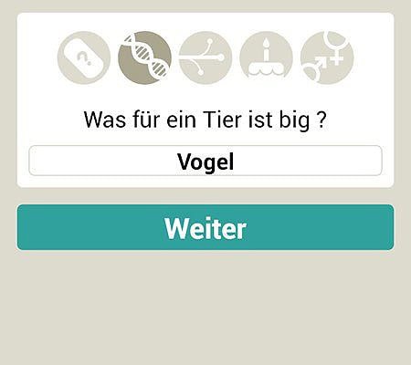 Tierklasse in der Tierarzt-Such-App