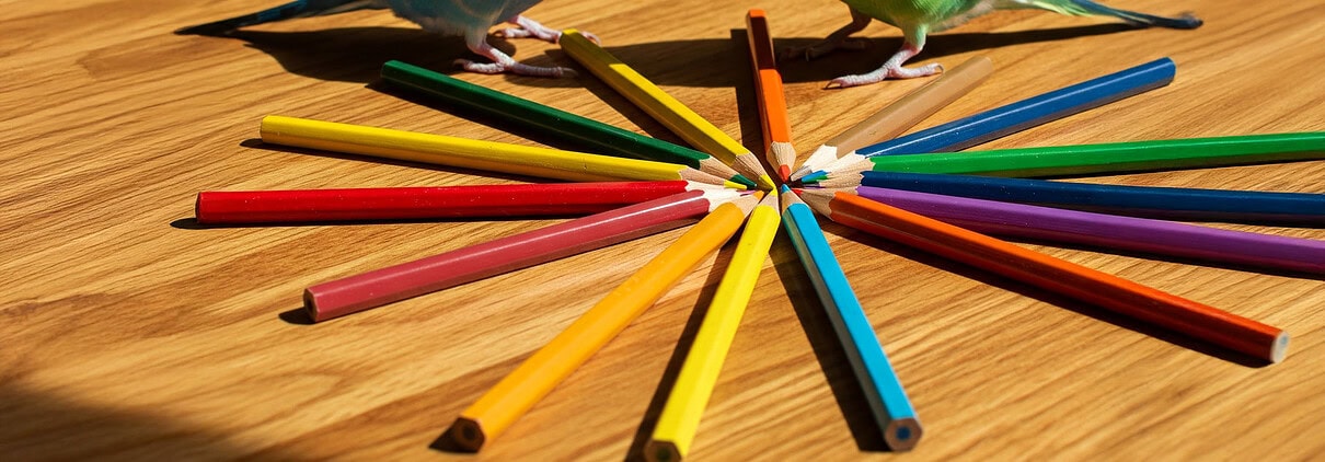 Wellensittiche mit Buntstiften in verschiedenen Farben.