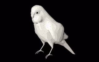 Wellensittich in 3D