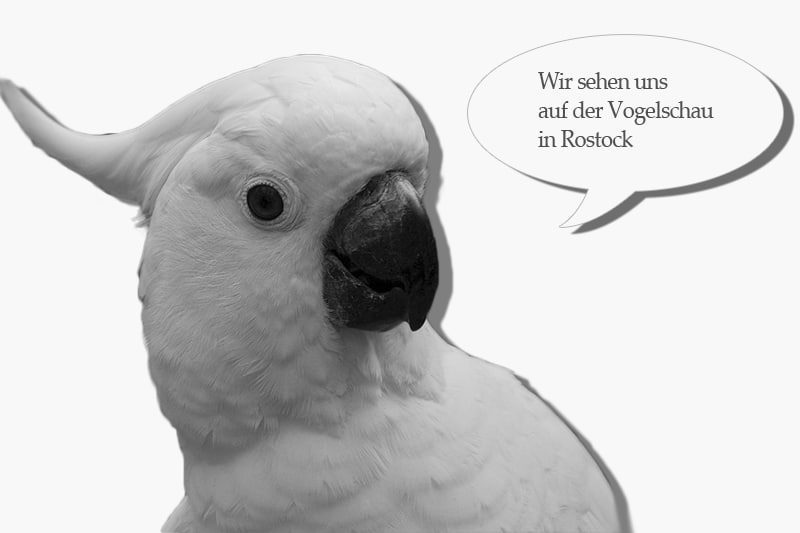23. Vogelschau Rostock