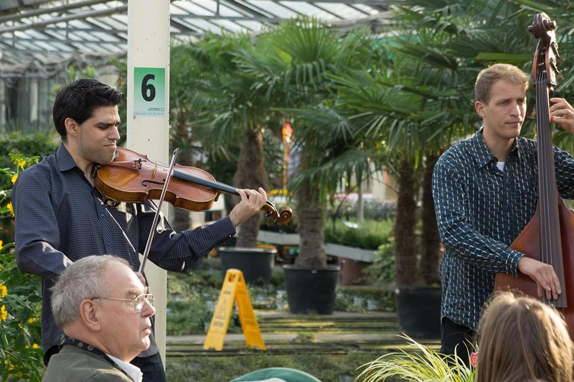 Livemusik Apfelfest Groenfingers