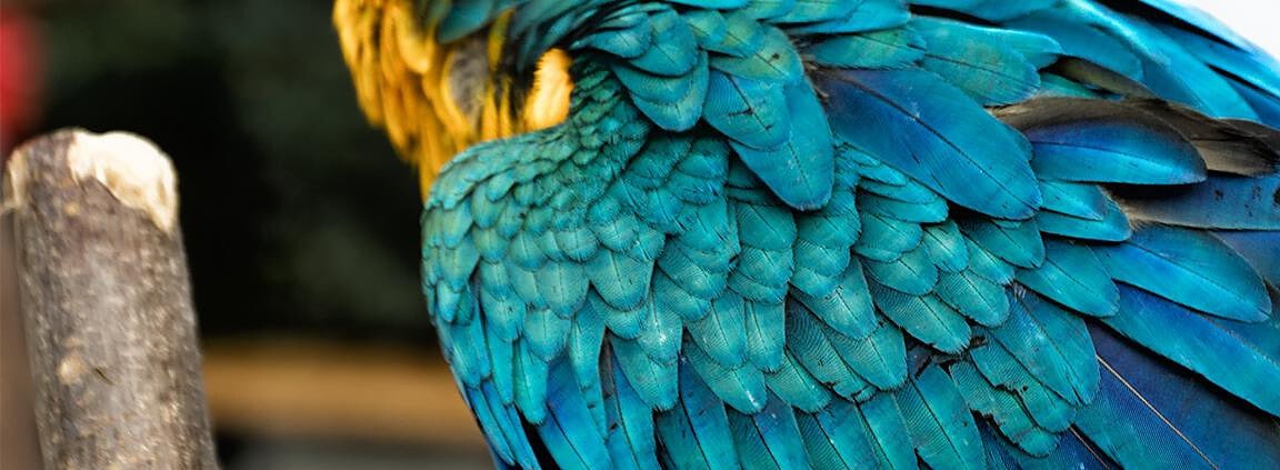 Vogelschau Rostock Oktober 2014