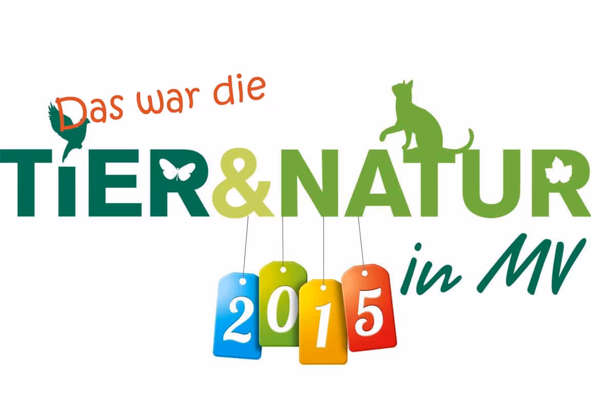 Messe in Rostock 2015