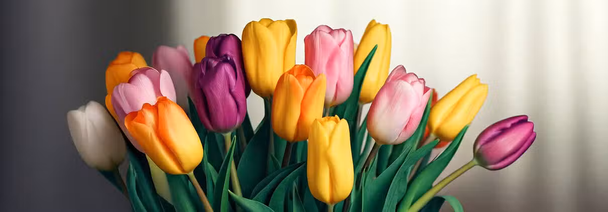 Ein Strauß bunter Tulpen steht in einem Raum