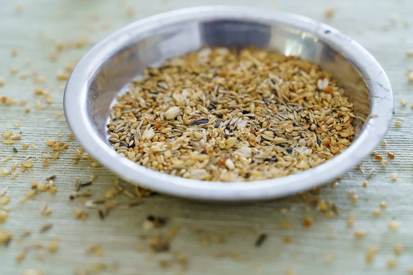 Spelzen – warum du leere Körnerhülsen regelmäßig entfernen solltest 3 Nahaufnahme eines Futternapfs mit leeren Körnerhülsen von Wellensittichen