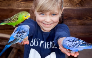 Piep-Show im Karls Erlebnisdorf Rövershagen 8 Karls Piep-Show Rövershagen