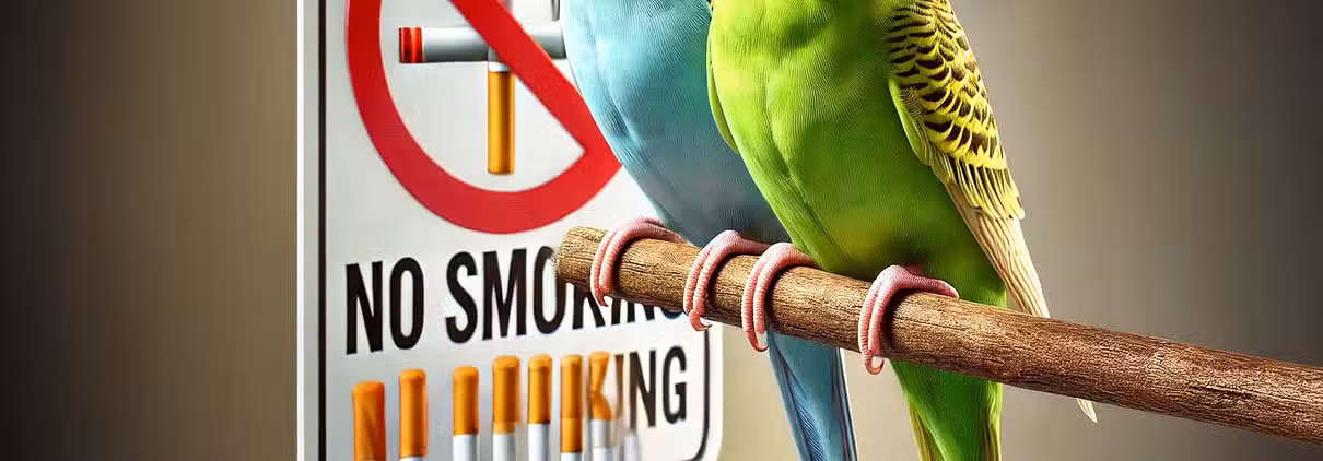 Tabakprodukte und Zigaretten stellen eine erhebliche Gesundheitsgefahr für Wellensittiche