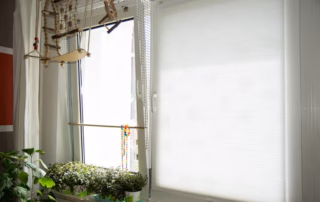 Kippschutzfenstersystem für Wellensittiche: Sicher lüften ohne Bohren 5 Fensterschutz zum Kippen