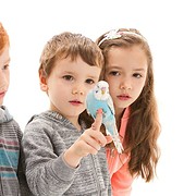 Kinder mit blauen Wellensittich
