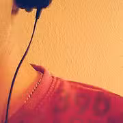 Groupon Studie Haustier