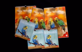 Wellensittichkalender in mehreren Formaten – Wand- und Postkartenkalender „Freche Wellensittiche