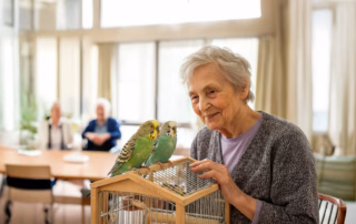 Seniorin im Altersheim mit zwei Wellensittichen auf einem Vogelkäfig.