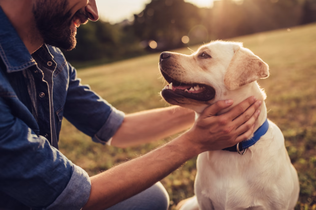 Heimtiere machen happy: Über die positiven Einflüsse von tierischen Begleitern 3 Glücklicher Hund mit Besitzer – Heimtiere stärken die Bindung zwischen Mensch und Tier