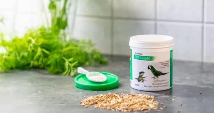 Korvimin ZVT + Reptil Wellensittich