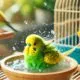 Ein grüner und gelber Wellensittich beim Baden in einer offenen, wassergefüllten Badschale, umgeben von einem hellen, gemütlichen Innenraum.