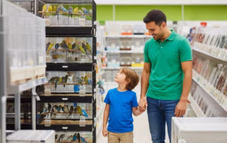 Wellensittich kaufen – Bezugsquellen, Tipps und wichtige Hinweise 5 Familie betrachtet Wellensittiche im Zoofachhandel vor dem Kauf