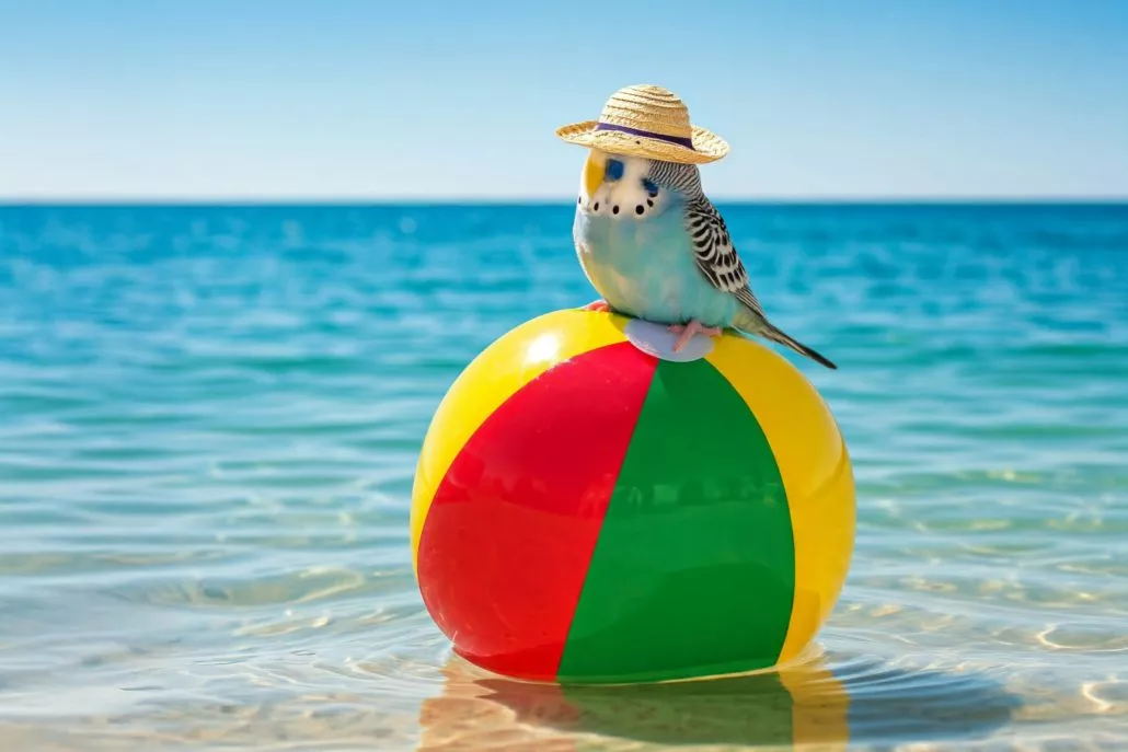 Ein Wellensittich sitzt mit Sonnenhut auf einem Wasserball der im Meer treibt
