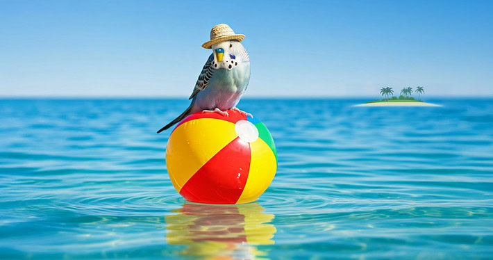 Ein Wellensittich genießt seinen Urlaub am Meer, während er auf einem bunten Ball sitzt.