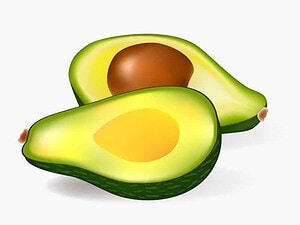 Avocado Wellensittich fressen