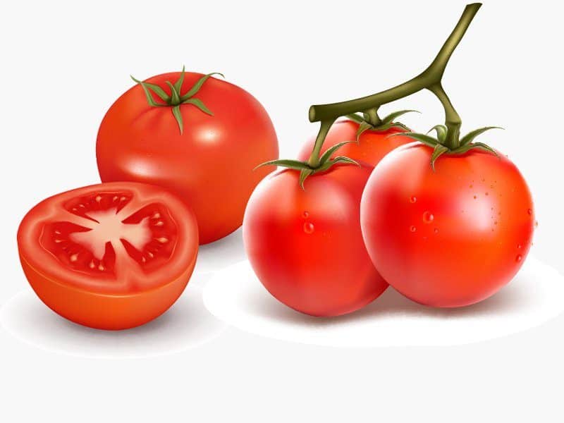 Tomaten Wellensittich fressen