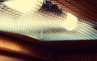 Eine neue Voliere für die Wellensittiche 11 Wellensittich Voliere1