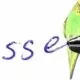 Wellensittich-Blog-Artikel
