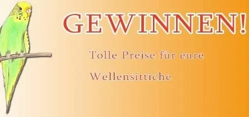 gewinnspiel-wellensittich