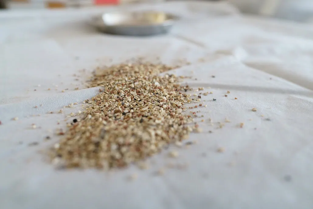 Was ist Grit für Vögel