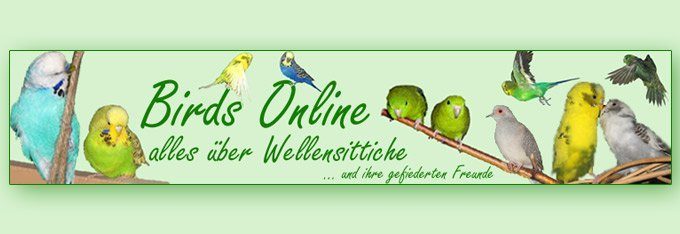 birds-online-wellensittich