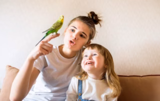 Wellensittich für Kinder – Ein genialer Freund mit Verantwortung 9 Wellensittich für Kinder als Haustier