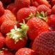 Erdbeeren für Wellensittiche